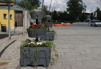 Bild vergrern: Marktplatz mit neuen Blumenpyramiden